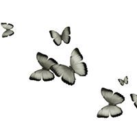 อณิศยา พริมา