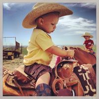 Douglas Macdonald Jr.