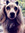 Emilie | 6 comments