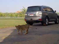 محمد المزروعي