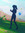 E | 5 comments