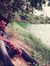 Bheema Vs