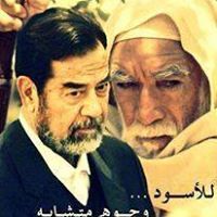 محمد ابو تمام