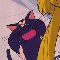 Sasathorn Chutimaworaphan