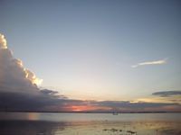 ভোরের পাখি