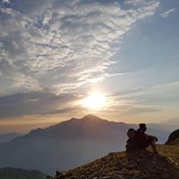 დათო შველიძე