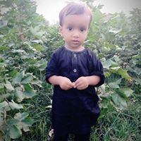 Muhammad Hamid