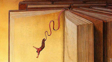 Cellardoor