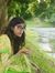 লাবণ্যম...
