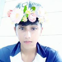 رينوو الشقردي