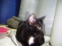 กุลธิดา ภัทรชัยยาคุปต์