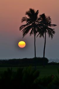 Alexis Paulson-Ellis