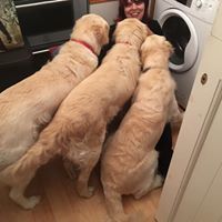 JamesandSusan Grimes