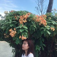 ละมุลาวนู ลามูลามู