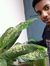 Rohit G...