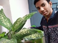 Rohit Gaurkar