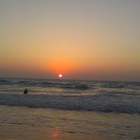 شمس رائد