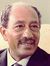 محمد انور