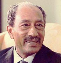 محمد انور