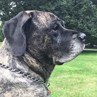 Julia Watson Tomaine