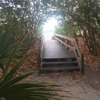 Trish Biddison Johnson