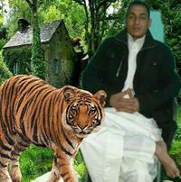 عمر النوال الجلالي