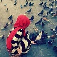 Ďoġą Ŕ. Cèllini