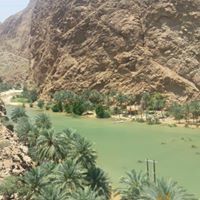 سعيد الشرياني