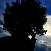 خليل مشراوي