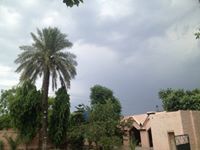 Haleema Basharat