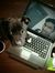 Abhijit...