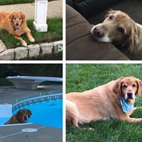 Audra Small Perschilli