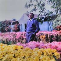 المستشار الزراعي