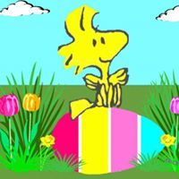 kelly java-farnsworth