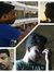 Lk Vasanth