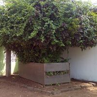 الكلية المكية