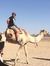 Tarek S...