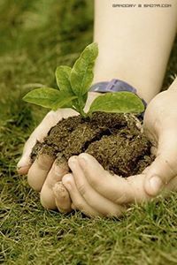 آمنة الكثيري