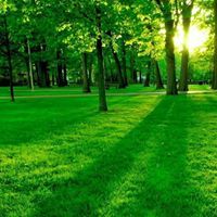 মোঃ রহমান