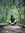 Yin Khaing