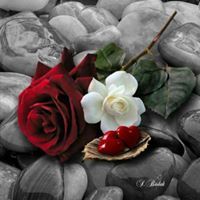 بالهمة نعلو