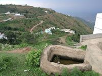 عبدالرحمن يحي