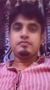 Mahmudul Mridul