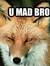 Felix Fox