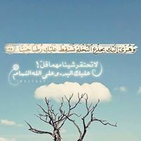 Mfa Mohamed