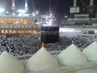 ابو ياسر