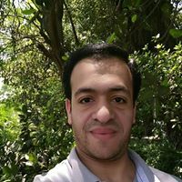 Ezz Mohamad