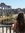 Jess Cover