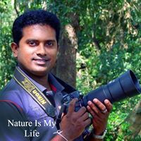 Pradeep Pathmaperuma