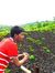Pranal Lad